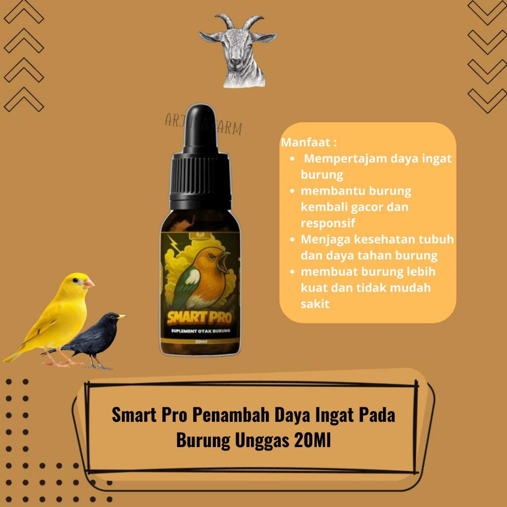Smart Pro Penambah Daya Ingat Pada Burung Gacor Unggas 20Ml