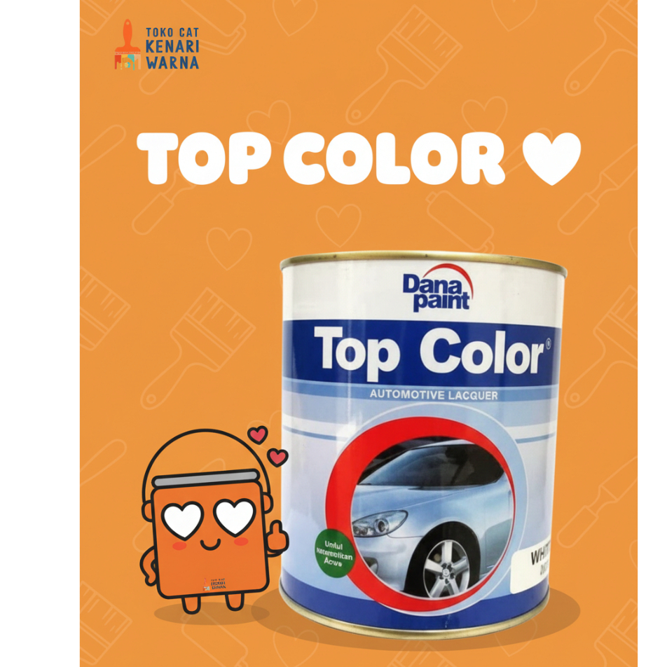 TOP COLOR CAT DUCO- 200 ML
