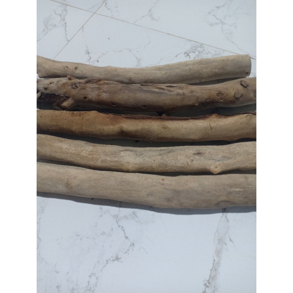 kayu setigi mati ngurak