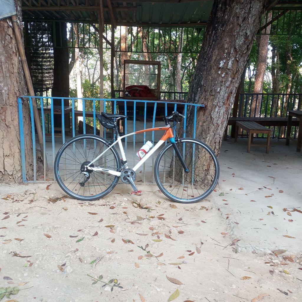 frameset polygon divine r5