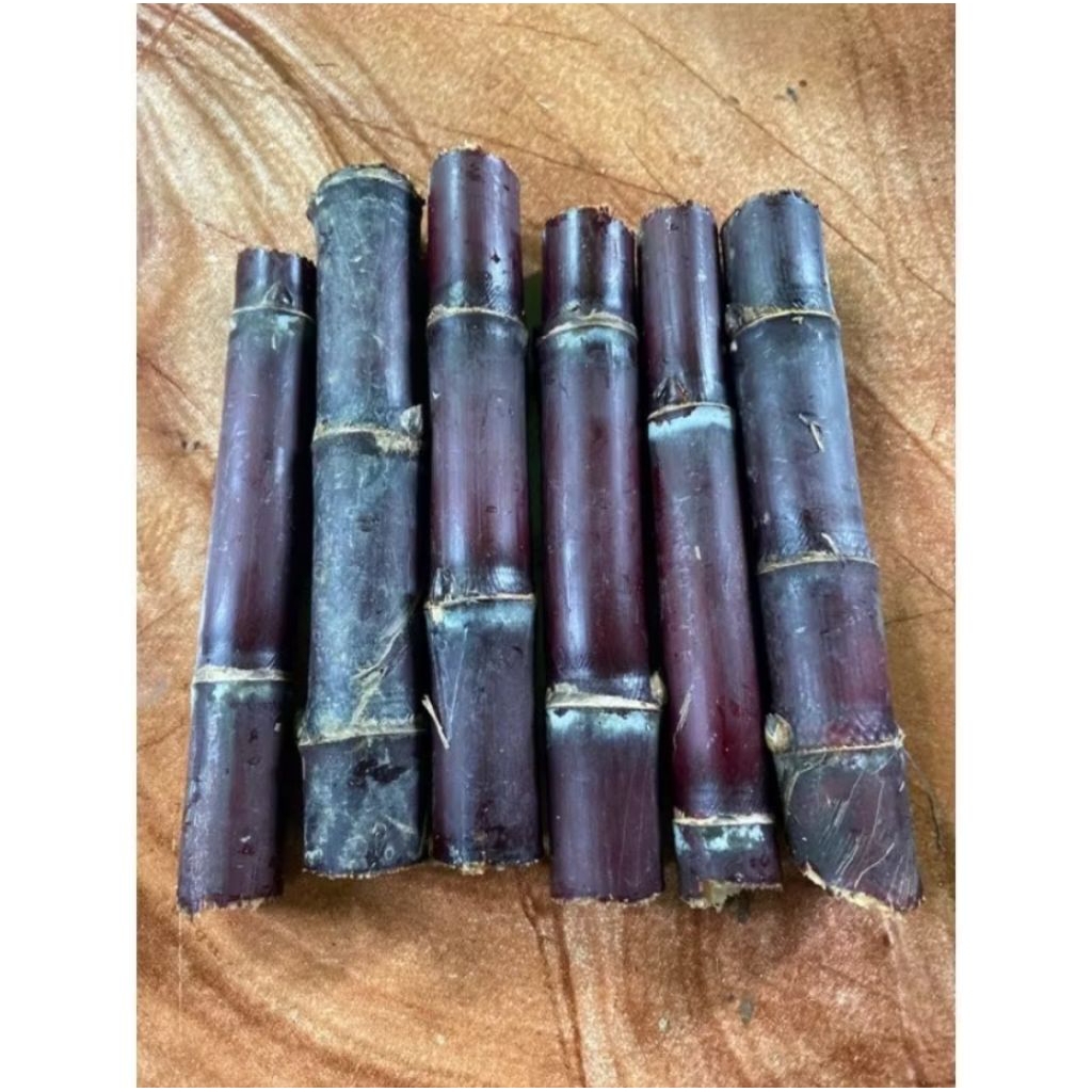 PERBATANG Bibit Tebu Hitam Asli / Tebu Ireng Unggul – Siap Tanam | Bisa Untuk Dikonsumsi