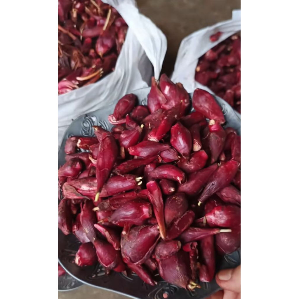 bawang dayak segar 1kg