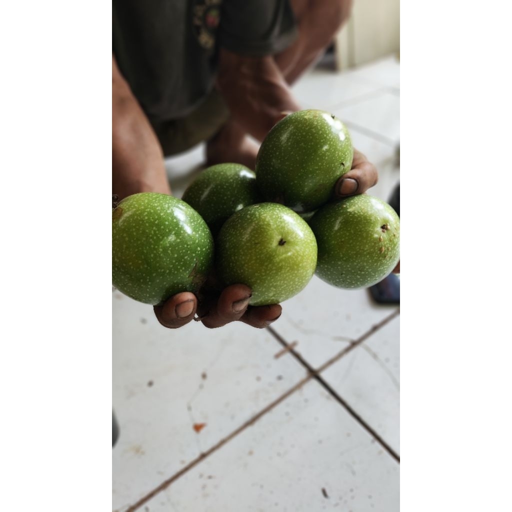 Buah markisa tua per 1000g/1kg matang di perjalanan