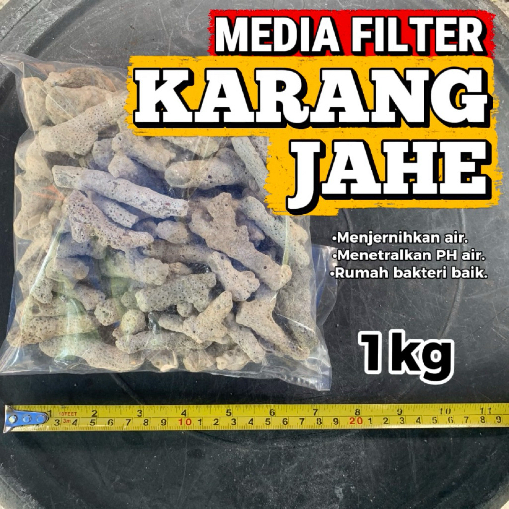 media filter karang jahe 1 kg