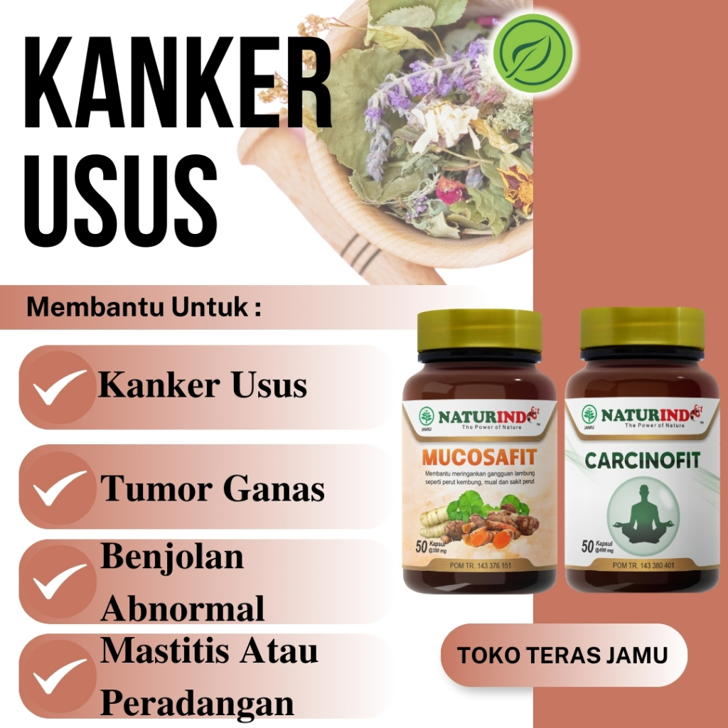 Obat Herbal Kanker Usus Carcinofit Mucosafit Atasi Kanker Usus Tumor Ganas