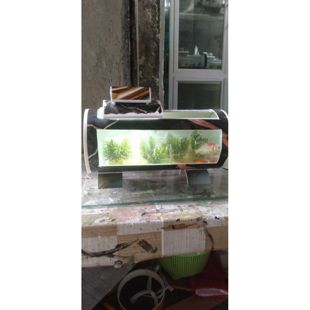 aquarium mini bahan pipa pvc ukuran 4inc.dan akrilik sebagai kacalampu led.dan aerator gelembung