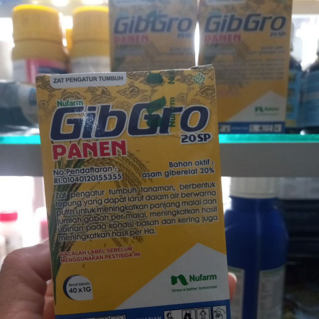 gibgro panen 20sp