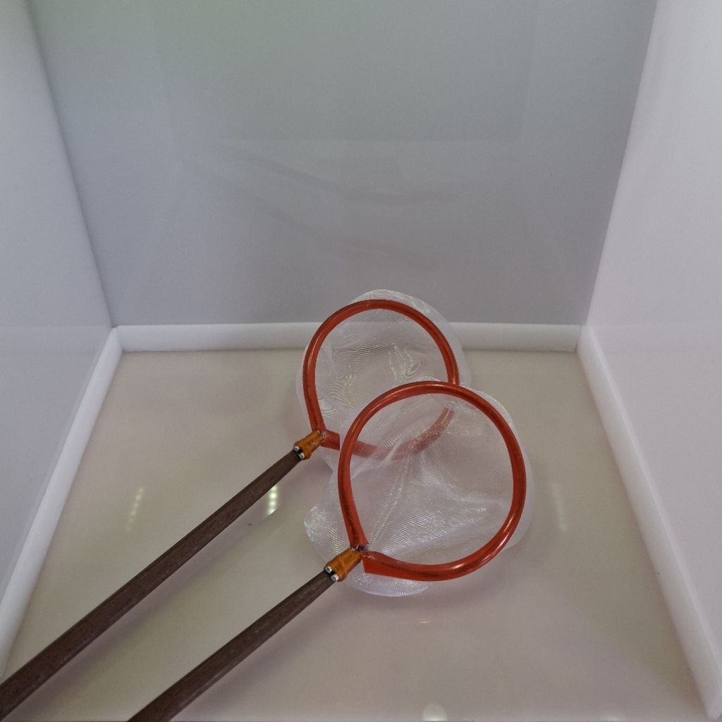 seser kecil ikan cupang