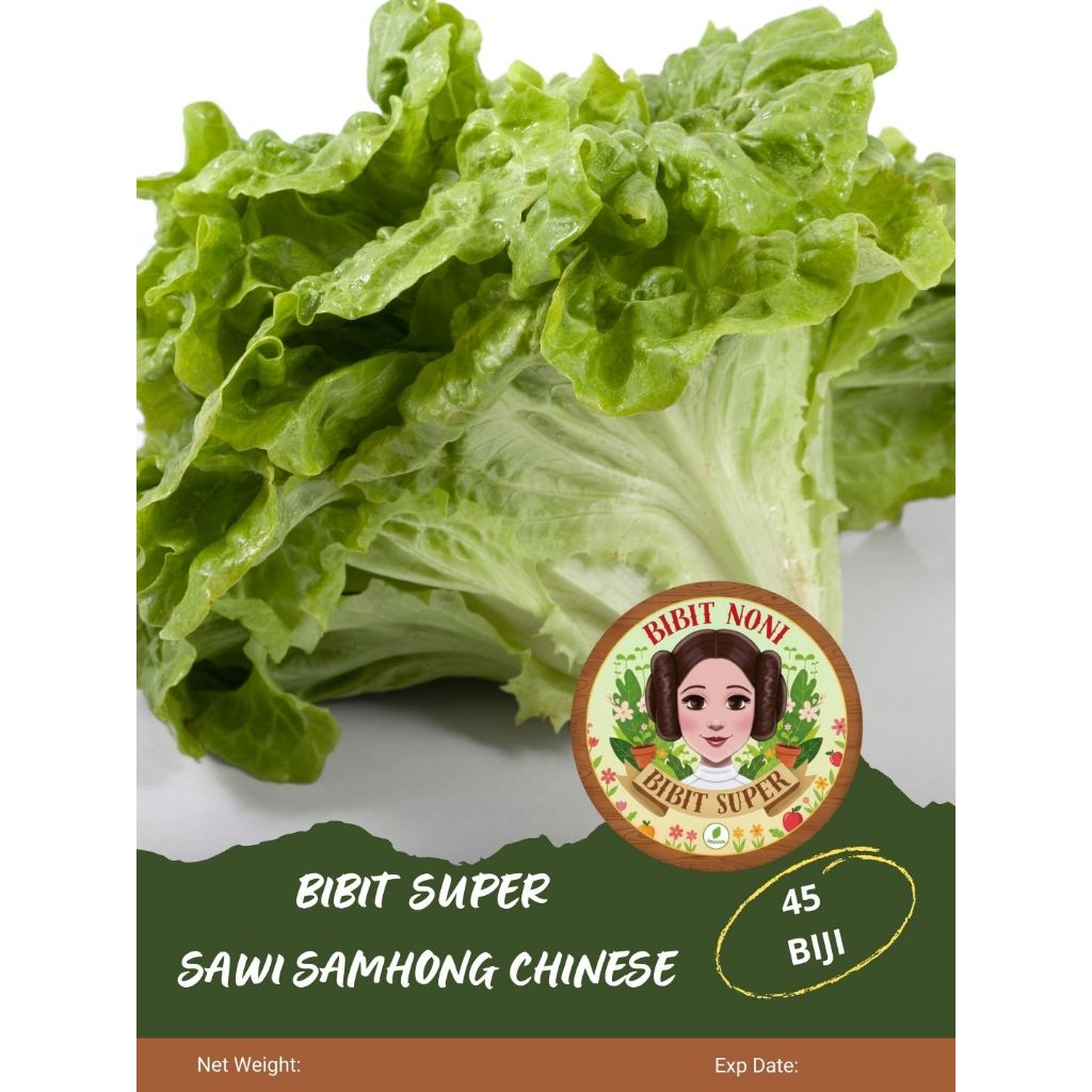 Bibit Super Sawi Samhong Chinese | Biji Benih Sawi Samhong