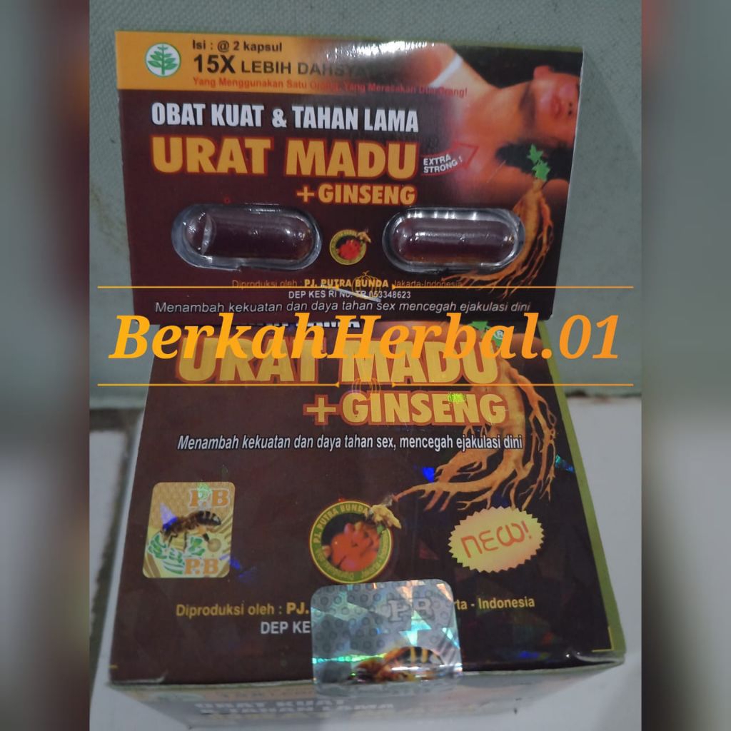 um ginseng asli original