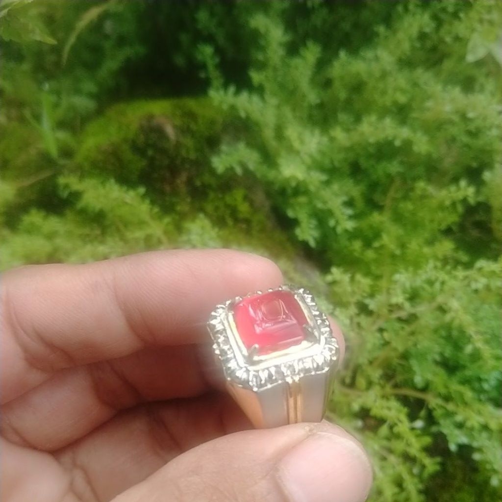 cincin kotak red baron pacitan