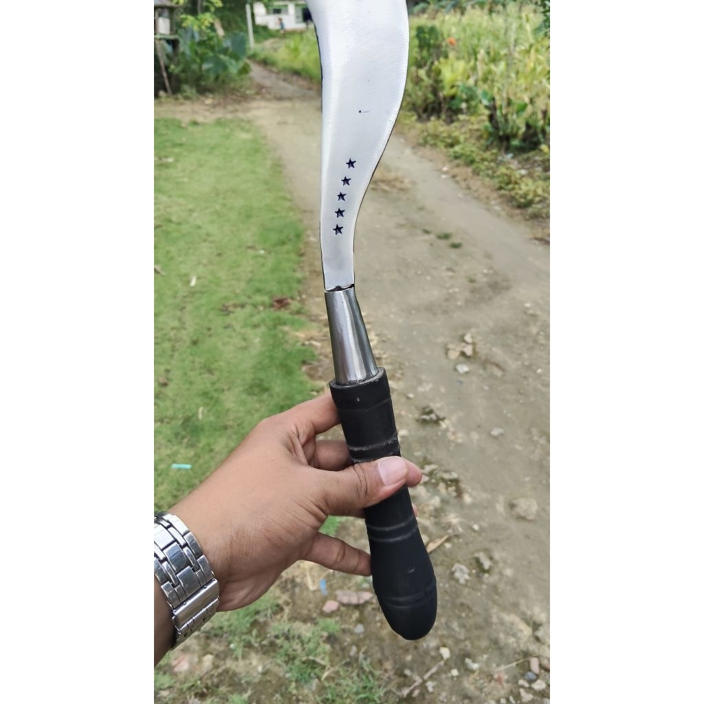 arit/sabit rumput asli Madura