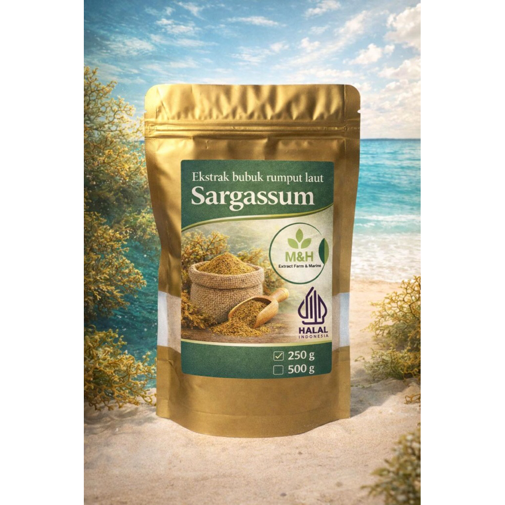 Ekstrak Bubuk Rumput Laut Sargassum Larut Air-Seaweed Sargasum Extract Powder W/S