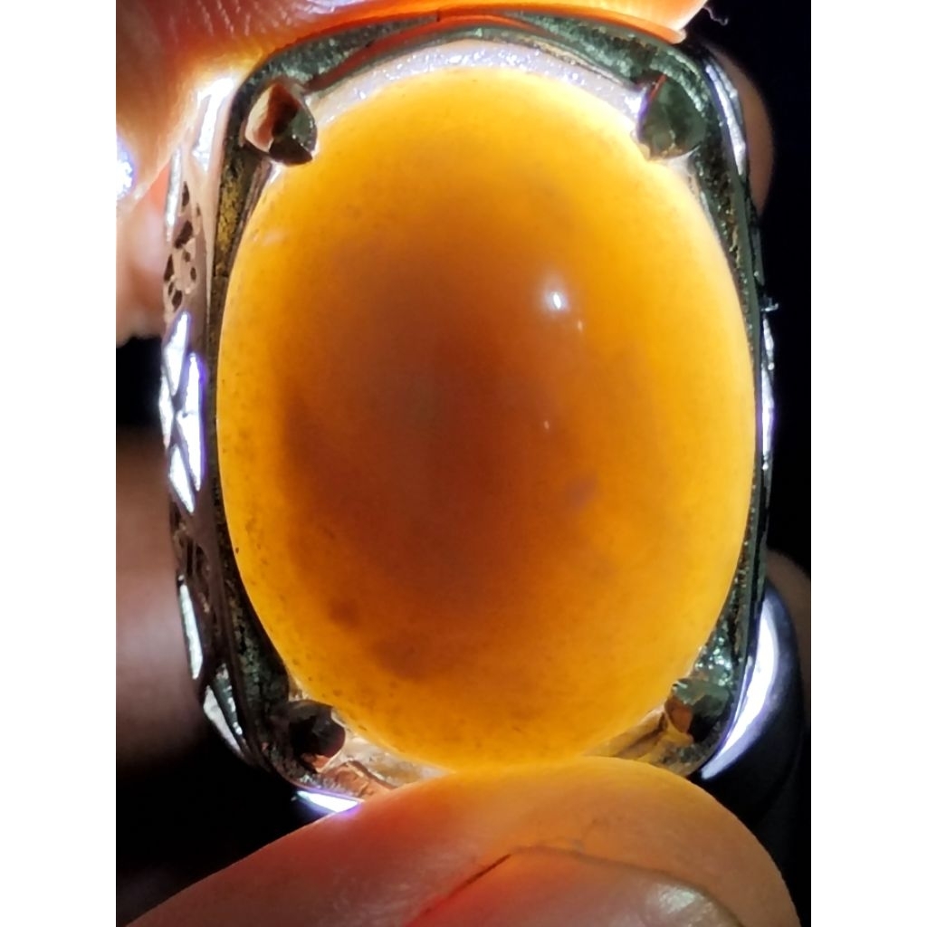 Natural Asem Petrified Wood, MYSTIC, CRYSTAL / Batu Fosil Kayu Asem, SAKRAL, KRISTAL, PUSER BUMI