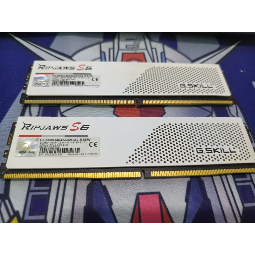 Ram ddr5 G.Skill 64Gb kit (32gb x 2) 5600Mhz CL46, warna white