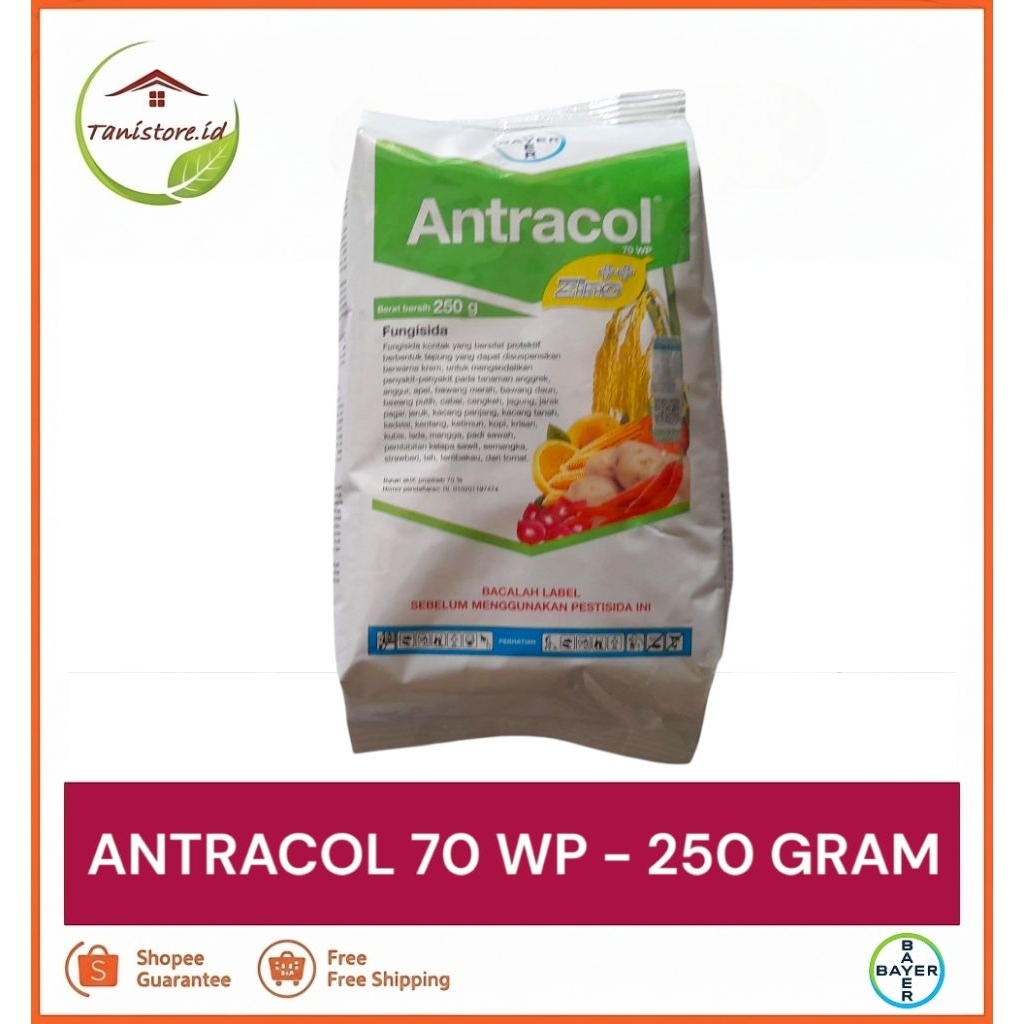 ANTRACOL 70 WP - 250 GRAM