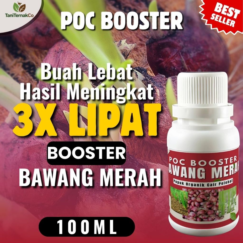 Pupuk Booster Bawang Merah / Pupuk Pembesar Bawang Merah / Pupuk Umbi Bawang Merah yang Bagus