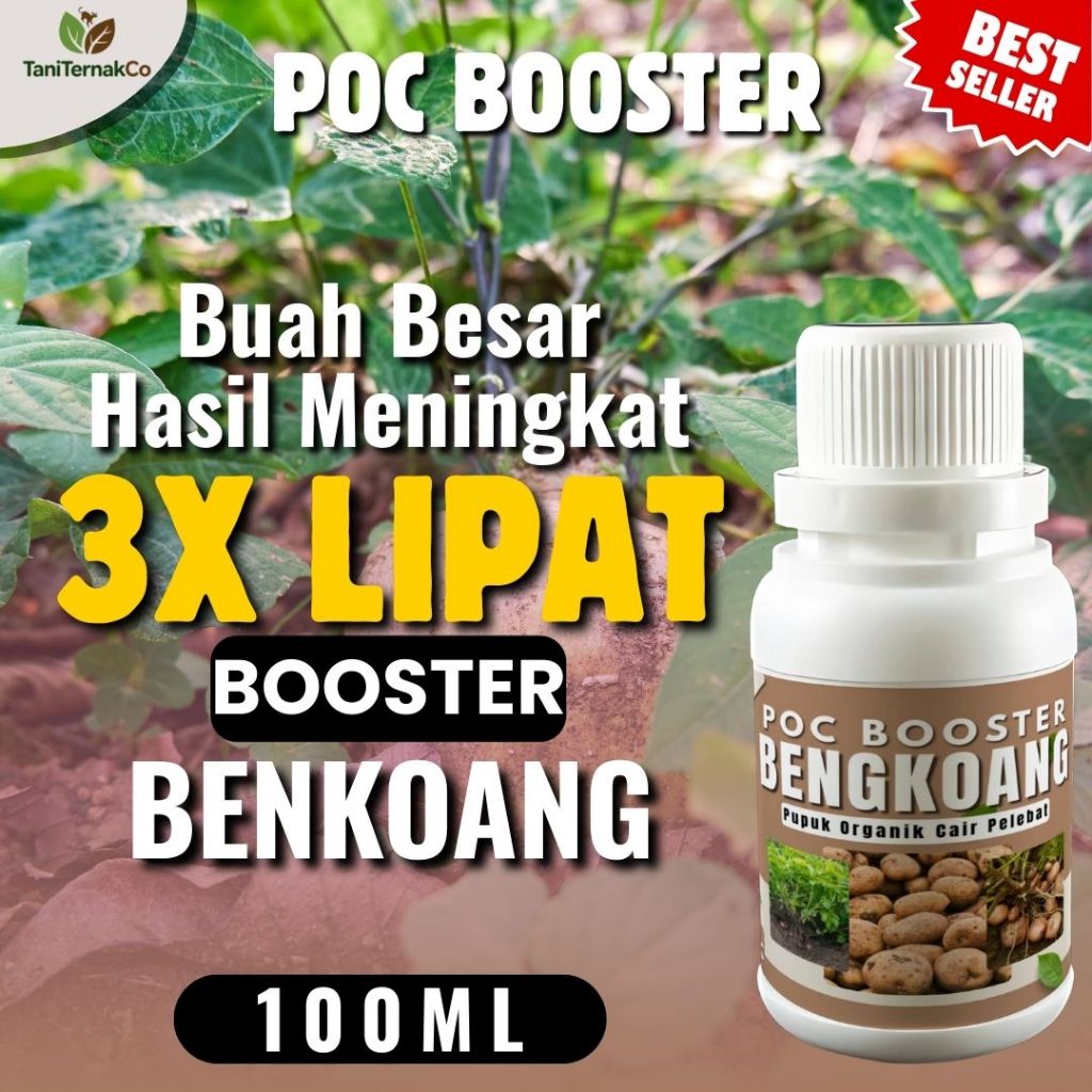 Pupuk Umbi Bengkoang Pembesar / Pupuk Bengkoang Terbaik / Pupuk Pembesar Umbi / Pupuk Pembesar Buah