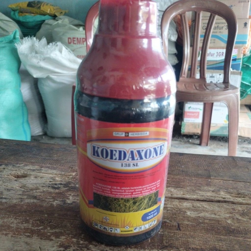 koedaxon 138 sl