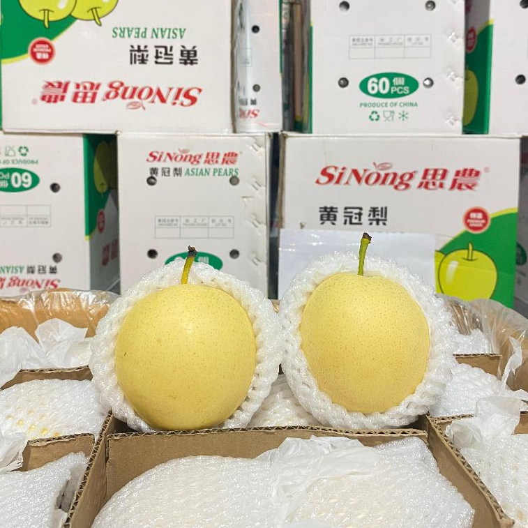 Pear Century 1dus isi 60 ±15kg