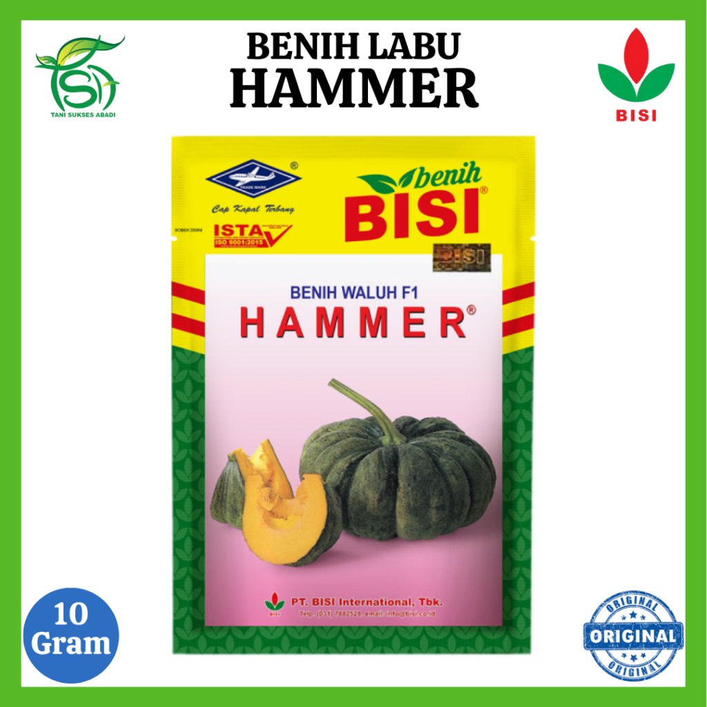 Benih Labu HAMMER - 10 Gram - Bibit Waluh BISI F1