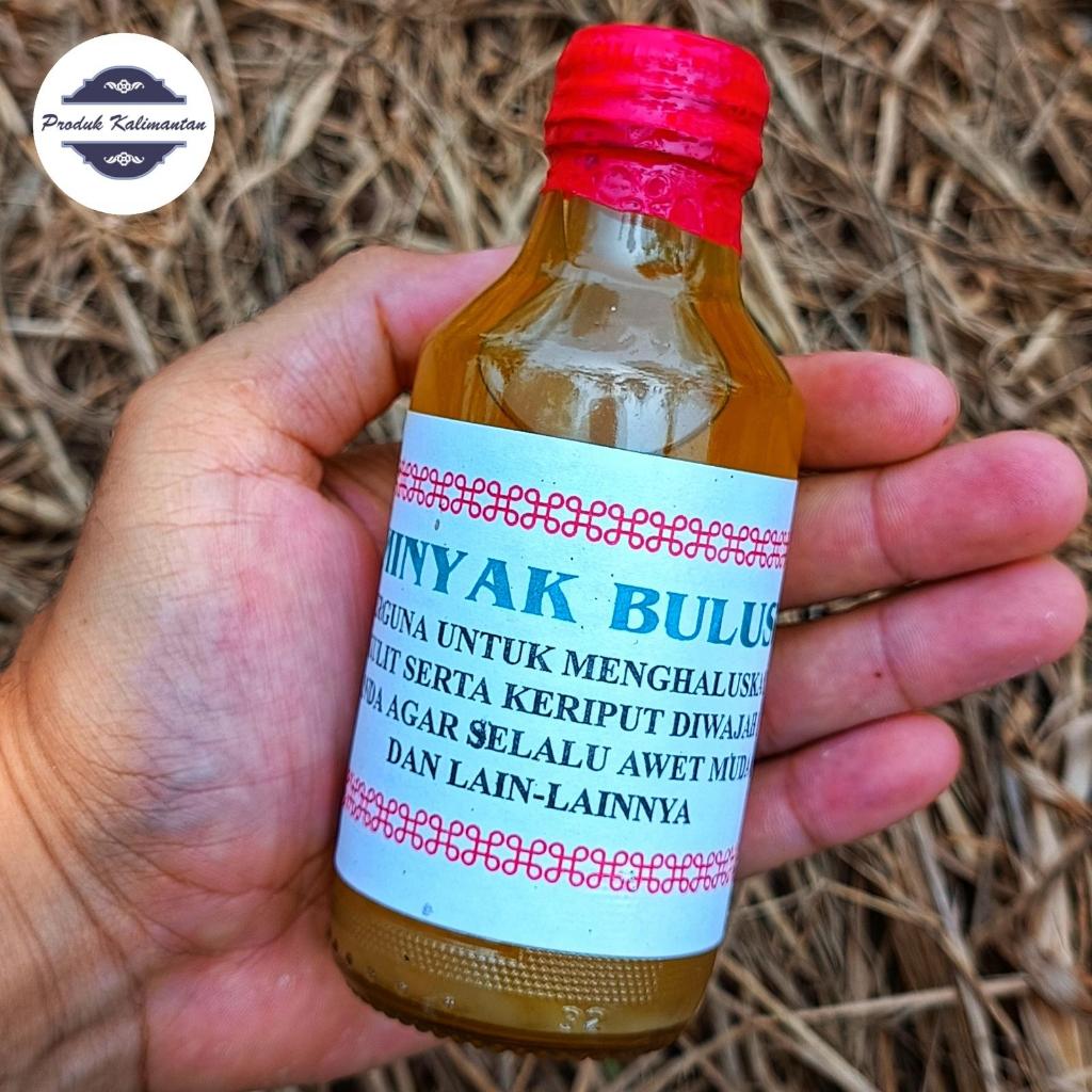 Minyak Bulus Kalimantan,Lemak Bulus Asli,Penghilang Jerawat,Bulus Asli