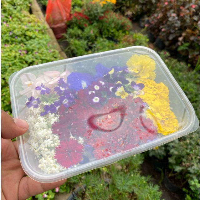 edible flower mix - garnish minuman - makanan