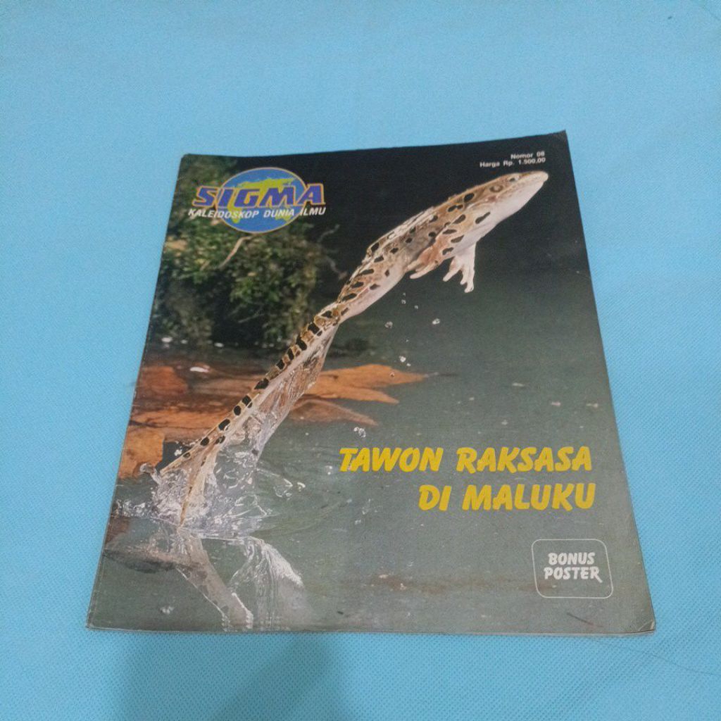 Majalah Sigma - Tawon Raksasa di Maluku