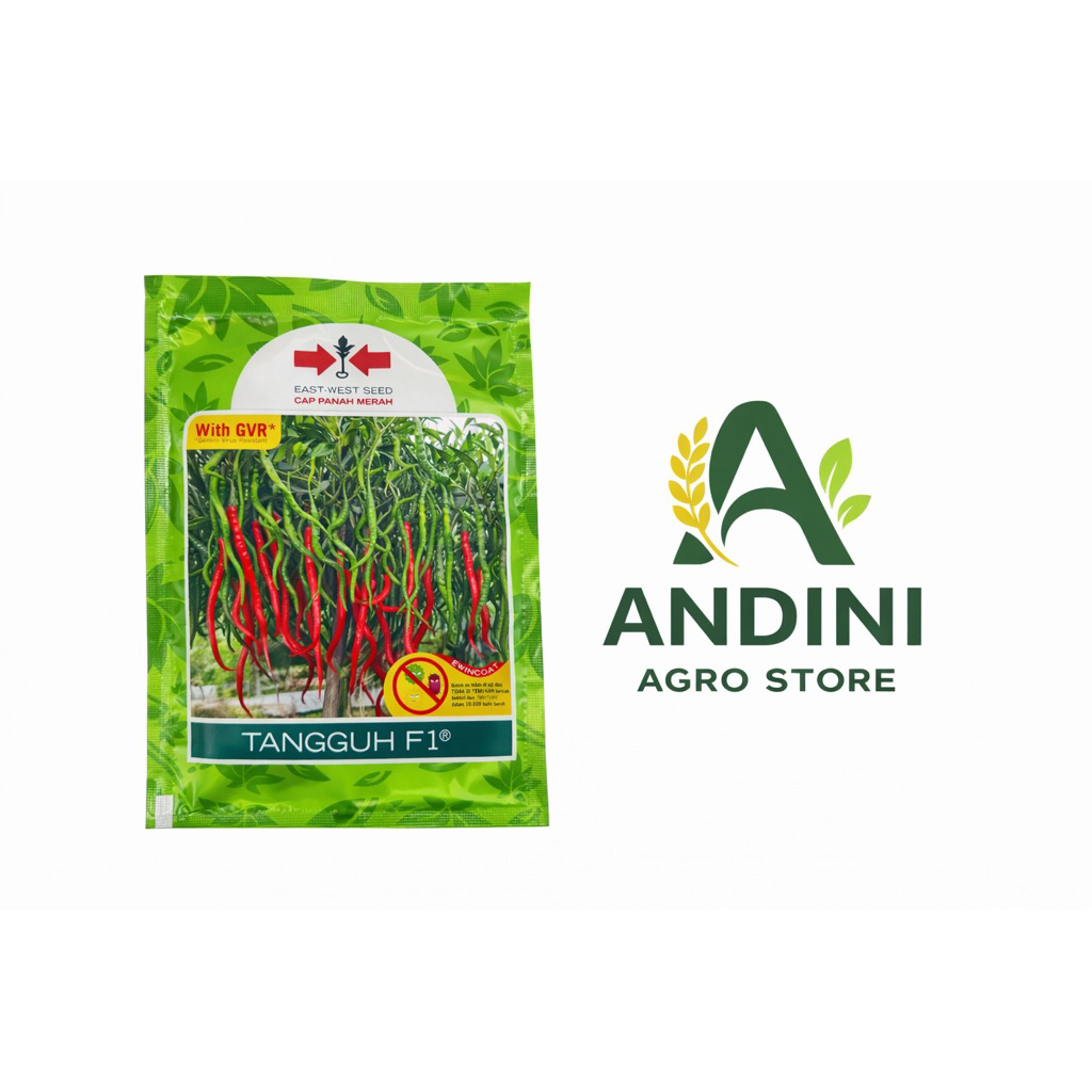 Benih Cabe Keriting TANGGUH F1 - Tahan Penyakit, Kualitas Tinggi, 2000 Butir