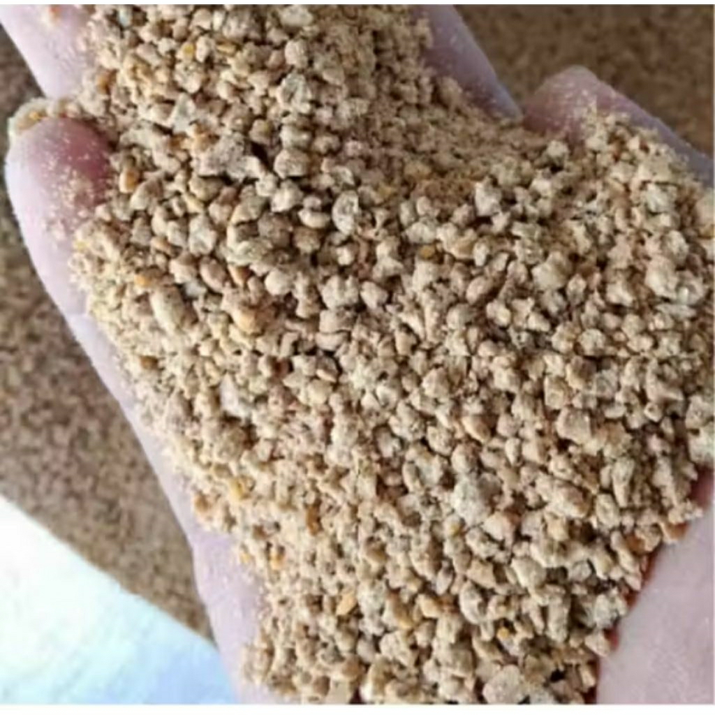 BR PUR AYAM PAKAN AYAM KAMPUNG BANGKOK PEDAGING