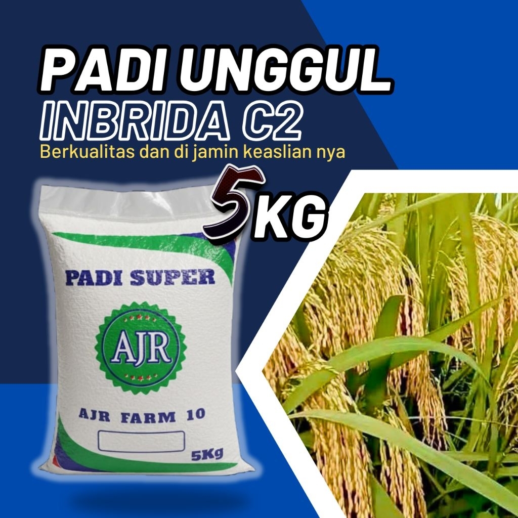 benih padi unggul inbrida C2 original 5kg
