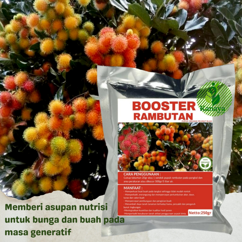 Booster Rambutan,Pupuk Pelebat Rambutan Perangsang Buah Serbuk Terbaik Agar Cepat Berbuah Lebat 250g