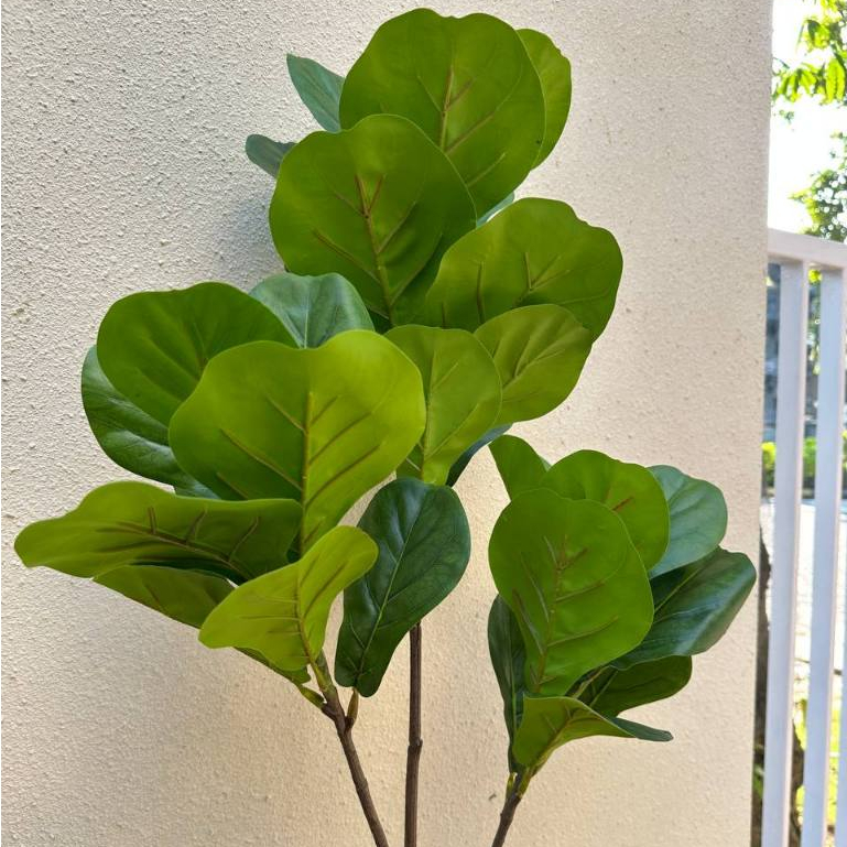 Pohon Ketapang Artificial - Dekorasi Pohon Hias Latex - Artificial Tree Decoration