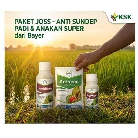 Paket Padi Joss anti sundep dan anakan super dari Bayer Vayego 100ml, Antracol 250ml, Ambition 500ml