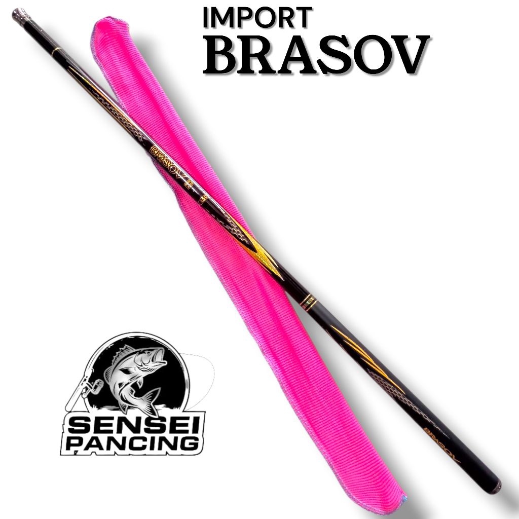 JORAN TEGEK CARBON IMPORT BRASOV 450CM ACTION MEDIUM LENTUR