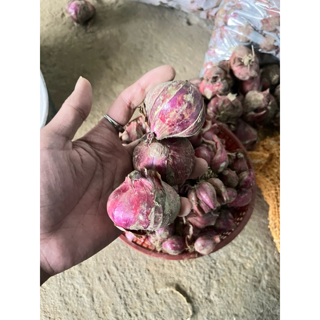 Bawang merah tawangmangu