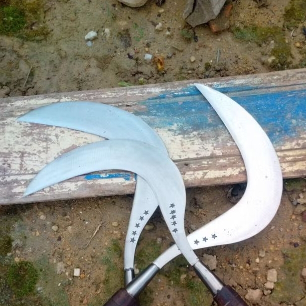 arit rumput bintang 5 baja asli