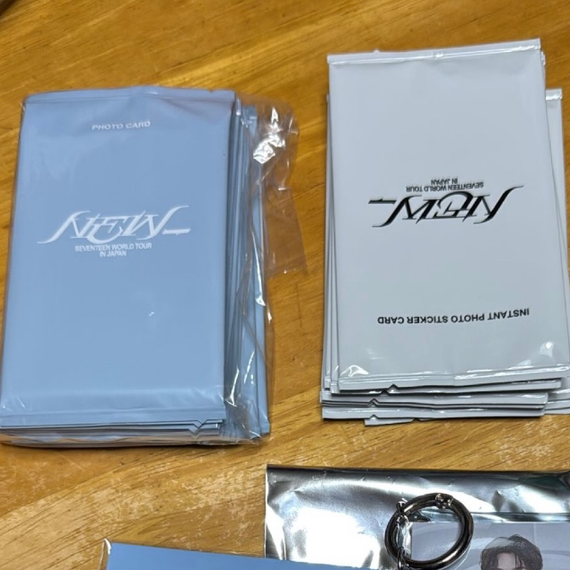 READY STOCK Seventeen NEW JP HOME 2025 instant photo sticker  photocard trading card wonwoo scoups h