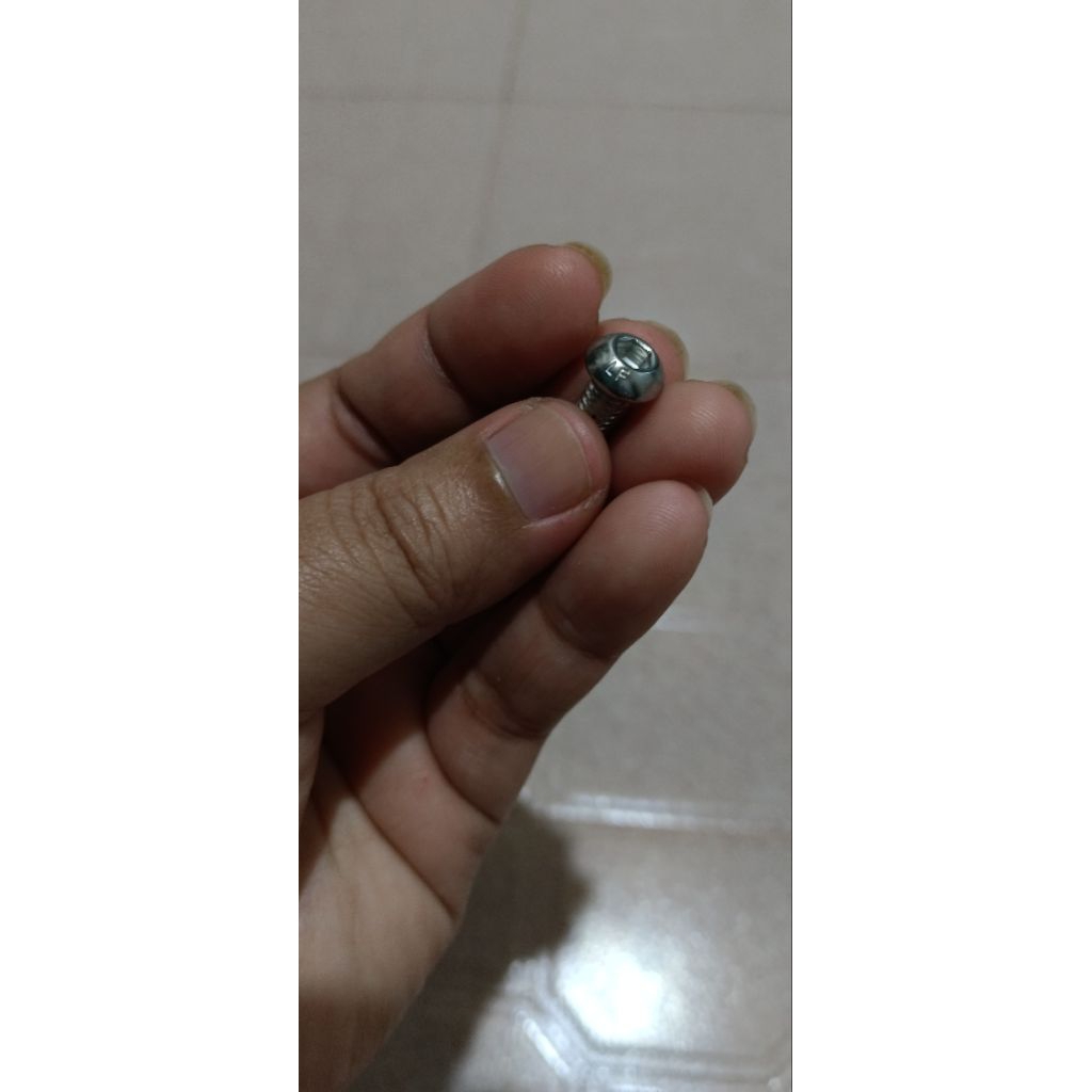 Baut L Stainless Button M6 x 20