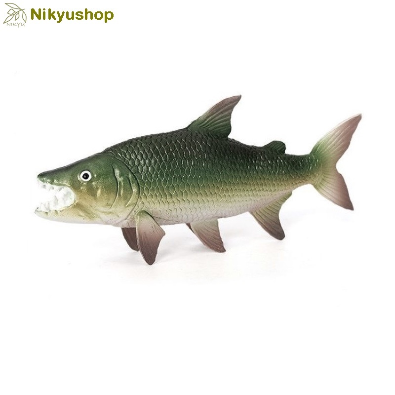 [Nikyushop] Mainan Edukasi Pajangan Miniatur Hewan Ikan Harimau Goliath Tigerfish Animal Figure