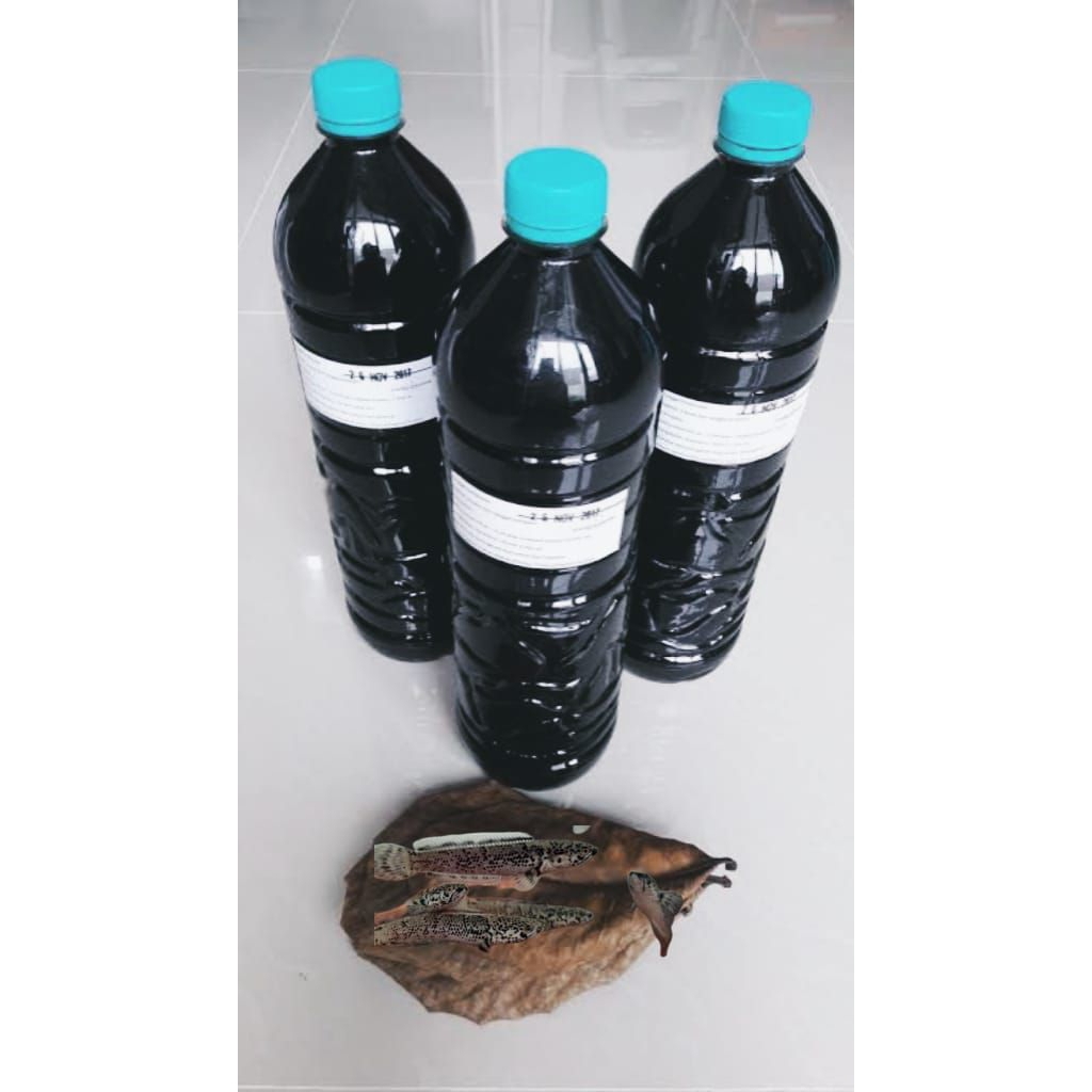 exstrak ketapang limbta granit 5cm grade A