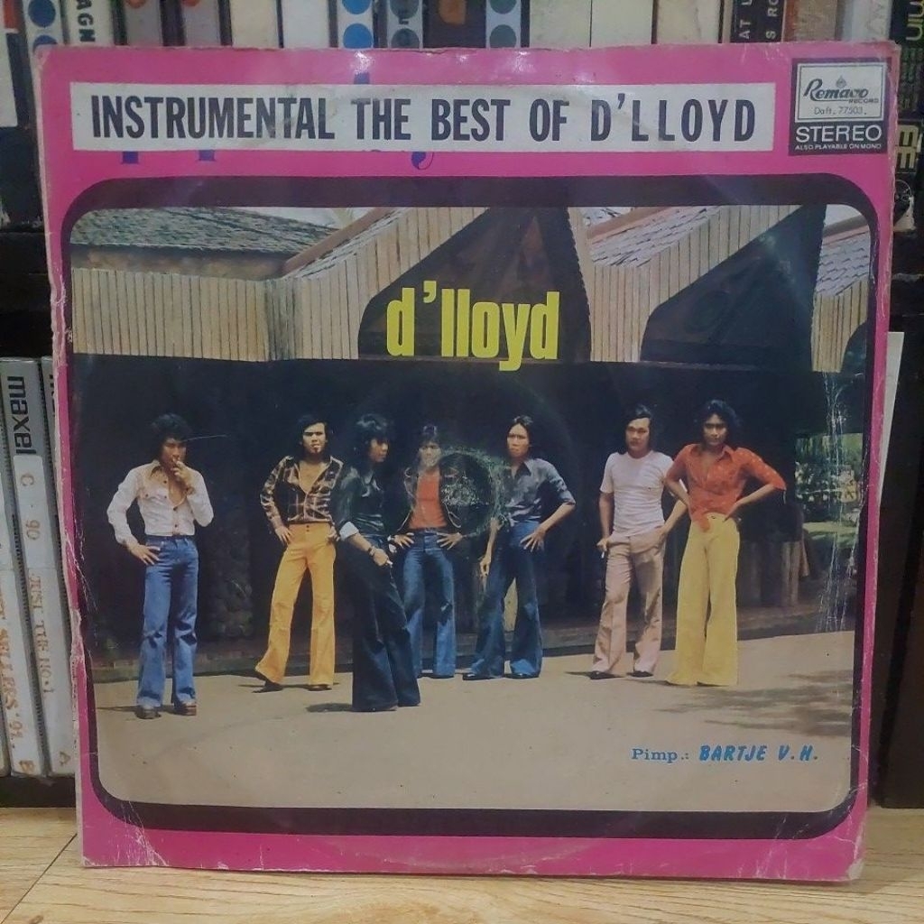 Vinyl Piringan Hitam D'lloyd The best Instrumen
