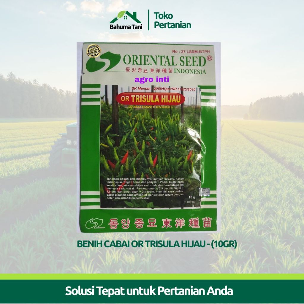 Benih Cabai Or Trisula Hijau (10Gr) - Oriental Seed