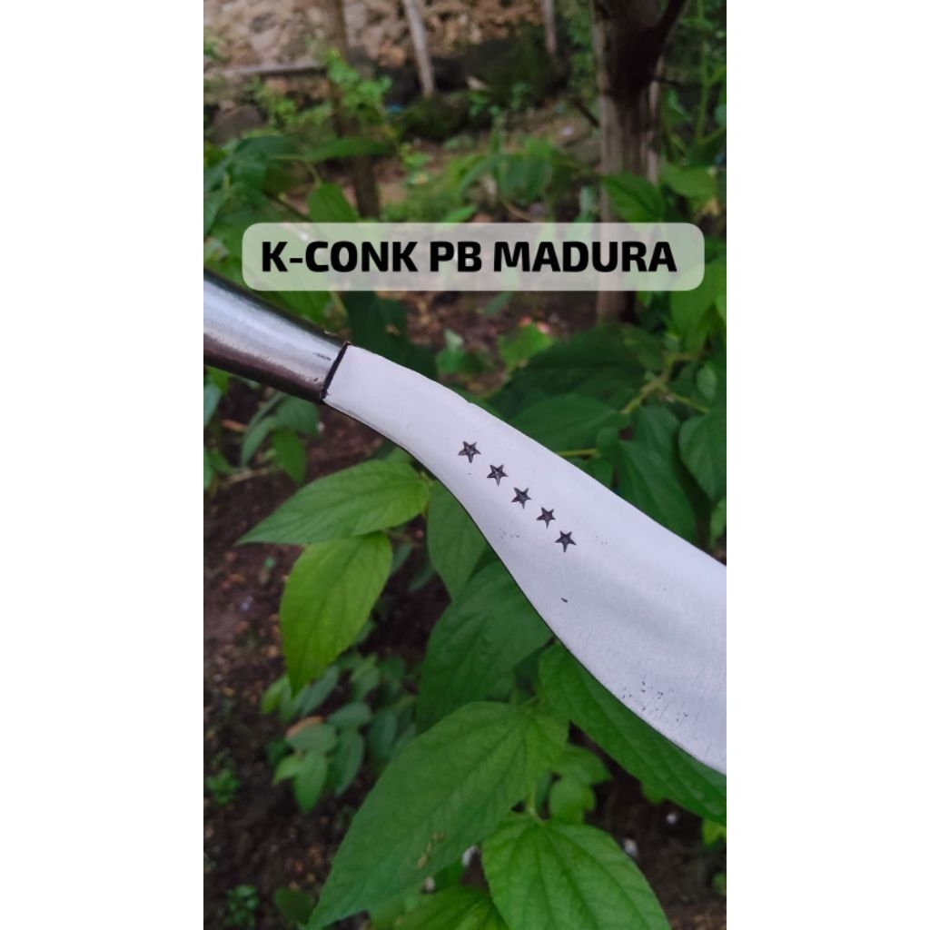 arit/sabit rumput tradisional asli baja