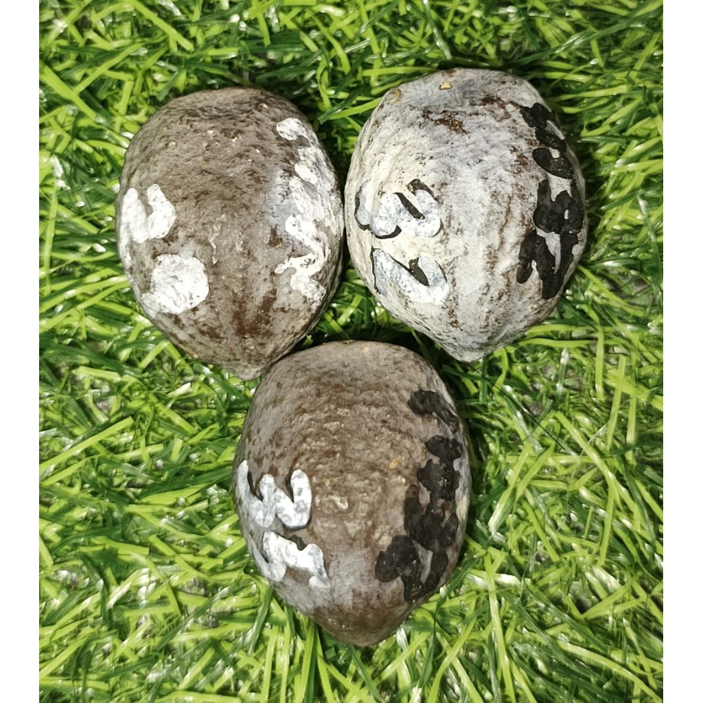 Betterbuys.Co Muncang Jabra Wanaraja