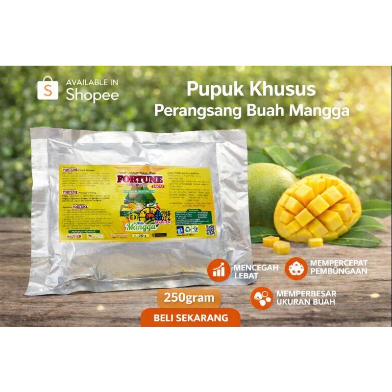 Pupuk Pelebat Buah Mangga, Pupuk Mangga Biar Cepat Berbuah, BOOSTER Mangga ORGANIK