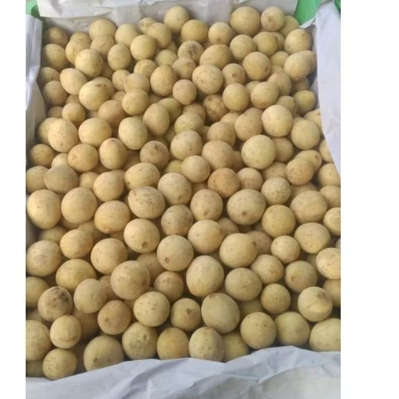 Buah Duku Palembang Segar 1 Kg