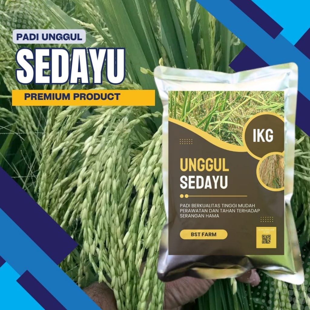 Bibit Padi Sedayu Super Kemasan Premium 1kg Original