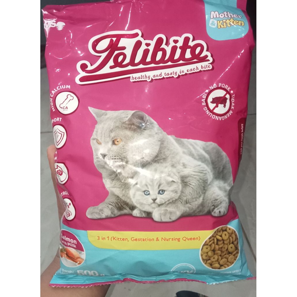 felibite mom & kitten