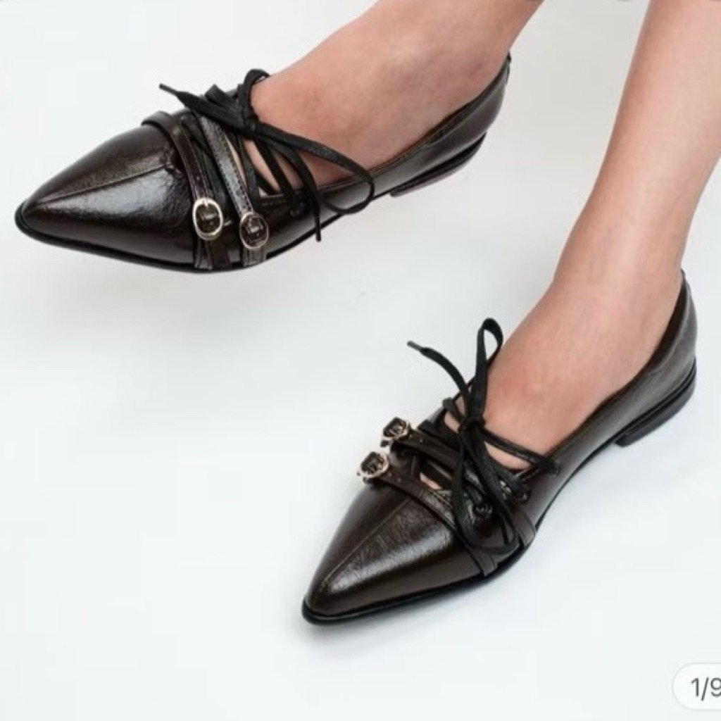 Preloved CEKHAS Clodette Brown